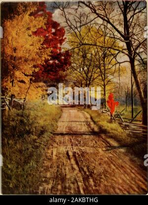 Der Baum Buch: Ein beliebter Führer zu einem Wissen über die Bäume in Nordamerika und auf ihre Verwendung und Anbau. ?&Gt;#. Copyright, ir/< 5, durch Doubleday, Pa^e&Company SUGAR MAPLE SCARLET EICHE KASTANIE DIE HERRLICHKEIT DER BÄUME IM HERBST GELB BIRKE*^^ DER BAUM BUCH eine Bevölkerung lar LEITFADEN FÜR EIN WISSEN DER BÄUME DER KONJUNKTUR UND ZU DEREN NUTZEN UND CULTIVA- VON JULIA ELLEN ROGERS MIT 16 Tafeln IN FARBE UND 100 UND 60 IN SCHWARZ-WEISS FOTOGRAFIEN VON A. RADCLYFFE DUGMOREtreebookpopularg 1920 roge Stockfoto