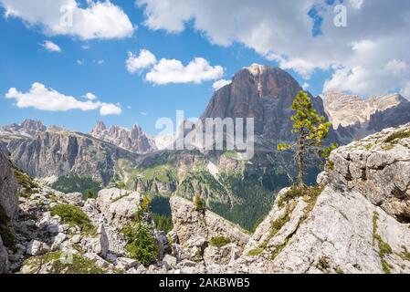 Einsamer Kiefernbaum, der auf einer Klippe steht. Dramatische Landschaft der Berge der Dolden in der Nähe der Stadt Cortina d'Ampezzo, Italien.