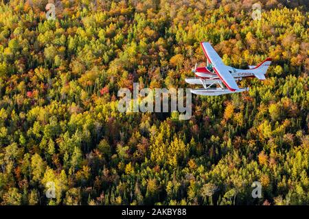 Kanada, Provinz Quebec, Mauricie region, Flug mit hydravion Aventure Unternehmen im Indischen Sommer, Cessna 206 in den borealen Wäldern (Luftbild) Stockfoto