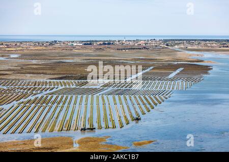 Frankreich, Charente Maritime, Ars en Ré, "Les Plus beaux villages de France (Schönste Dörfer Frankreichs), Auster Betriebe vor dem Dorf (Luftbild) Stockfoto