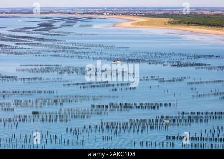 Frankreich, Vendée, La Faute-sur-Mer, Muschel Boote in miesmuschelzucht (Luftbild) Stockfoto