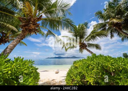 Seychellen, La Digue Island, Liegestühle und Palmen am weißen Sandstrand, mit Blick auf die Insel Praslin, von der Insel Reunion Stockfoto