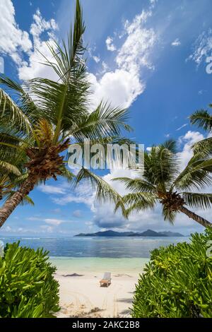 Seychellen, La Digue Island, Liegestühle und Palmen am weißen Sandstrand, mit Blick auf die Insel Praslin, von der Insel Reunion Stockfoto