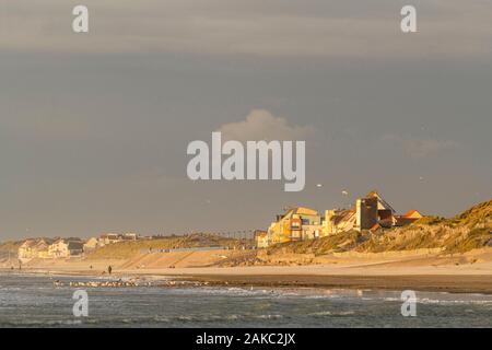 Frankreich, Somme, Quend-Plage, der Strand von quend-plage am Ende des Tages während der Himmel ist gefärbt von den Sonnenuntergang und die Möwen kommen für ihre Nahrung im Meer bei Flut Stockfoto