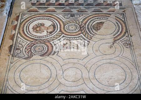 Frankreich, Herault, Agde, Agde Römische Villa, Mosaik der Jahreszeiten (Frühling) Stockfoto