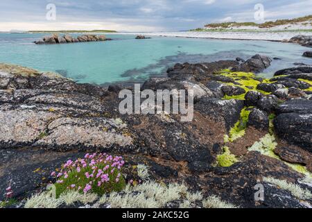 Irland, County Galway, Connemara, Rossadillisk Strand Stockfoto