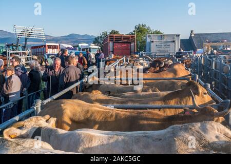 Frankreich, Puy de Dome, Beschwerden, Brion Viehmarkt, Regionaler Naturpark der Vulkane der Auvergne Stockfoto