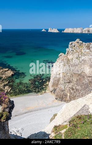 Frankreich, Finistere, Armorica Regionaler Naturpark, Halbinsel Crozon, Camaret-sur-Mer, Pointe de Pen Hir im Hintergrund Stockfoto