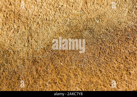 Nahaufnahme der Muster und Strukturen eines traditionellen Fußmatte. Hintergrund verwenden Stockfoto