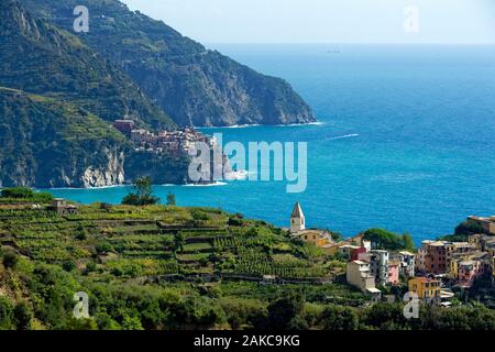 Italien, Ligurien, La Spezia Provinz, der Nationalpark der Cinque Terre, ein UNESCO Weltkulturerbe, Corniglia, Manarola (im Hintergrund) Dorf