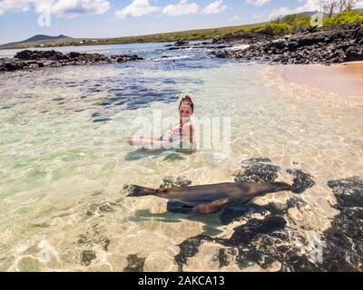 Ecuador, Galápagos-Archipel, ein UNESCO Weltkulturerbe, Santa Maria Island (Floreana), Schwimmen mit Galápagos-Seelöwen (Zalophus wollebaeki) Stockfoto