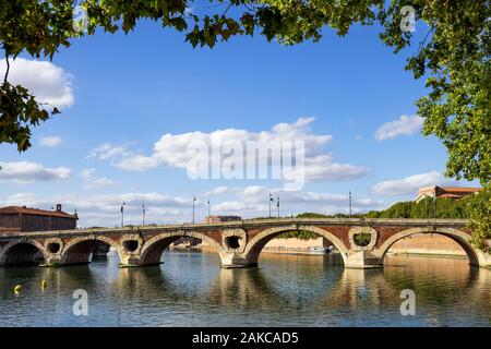 Frankreich, Haute Garonne, Toulouse, Pont Neuf Stockfoto