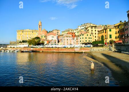 Italien, Ligurien, Genua, Nervi, der Hafen des Dorfes von Nervi Stockfoto