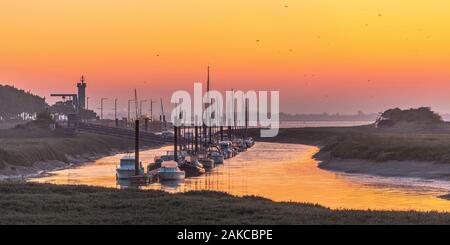 Frankreich, Somme (80), die Bucht der Somme, Le Cayeux-sur-Mer, Dawn auf dem Port Stockfoto