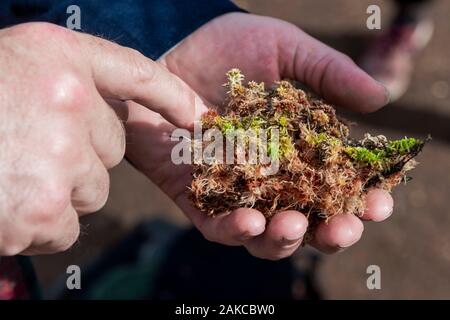 Irland, Meath County, Navan, Causey Farm, pädagogische Farm, typische Torf Feld Stockfoto