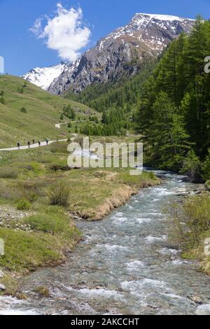 Frankreich, Hautes Alpes, Molines En Queyras, Regionaler Naturpark Queyras, Agnel Pass Stockfoto