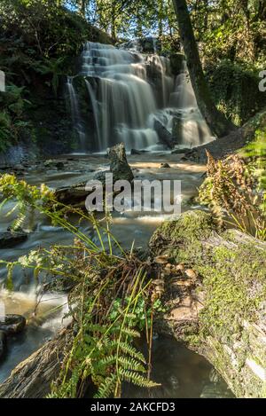 Folly Dolly Falls, Meltham, Huddersfield, West Yorkshire, England, Großbritannien Stockfoto