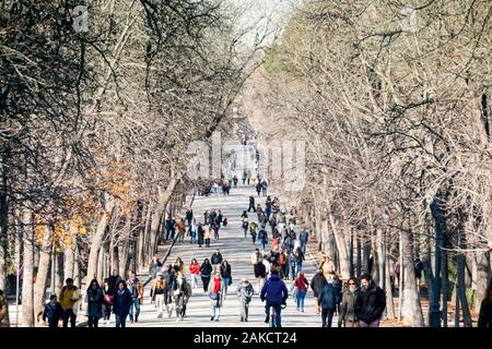 MADRID, Spanien. JAN 2020: Menschen zu Fuß unter den Bäumen im Parque del Retiro auf ein Winter und sonnigen Feiertag Stockfoto