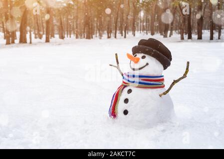 Fröhlicher Schneemann in eine verschneite Stadt Park. Weihnachten Szene mit traditionellen Winter Spaß für Kinder. Kopieren Sie Platz für Text Stockfoto