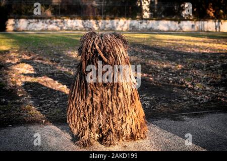 Shaggy Hund. Komondor ungarischen Hirtenhund Fuß in den Park. Die ungarischen Hirtenhund, nationalen Schätze. Stockfoto