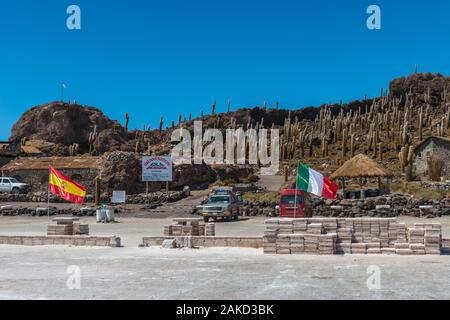 Isla Incahuasi in tne Salzsee Salar de Uyuni, Potosi, im Südwesten von Bolivien, Lateinamerika Stockfoto