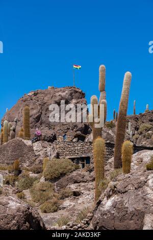 Isla Incahuasi in tne Salzsee Salar de Uyuni, Potosi, im Südwesten von Bolivien, Lateinamerika Stockfoto