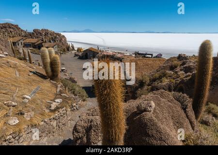 Isla Incahuasi in tne Salzsee Salar de Uyuni, Potosi, im Südwesten von Bolivien, Lateinamerika Stockfoto