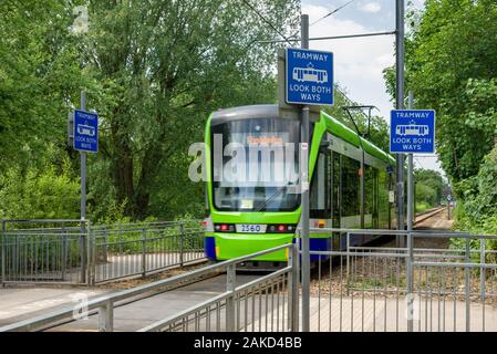 Ein TfL Croydon Straßenbahn Straßenbahn vorbei an einem fußgängerüberweg im Sommer, Wimbledon, Großbritannien Stockfoto