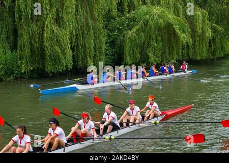 Weibliche Crew auf dem Fluss Cam die Teilnahme an den Stößen Zeile Yacht Regatta im Sommer, Cambridge, Großbritannien Stockfoto