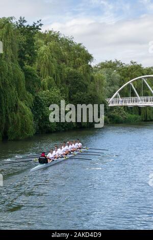 Mens Crew auf dem Fluss Cam die Teilnahme an den Stößen Zeile Yacht Regatta im Sommer, Cambridge, Großbritannien Stockfoto