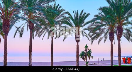 Panorama vom Strand Malagueta mit purpurnen Sonnenuntergang über dem Mittelmeer und die Linie der grünen Palmen im Vordergrund, Malaga, Costa del Sol, Spanien Stockfoto