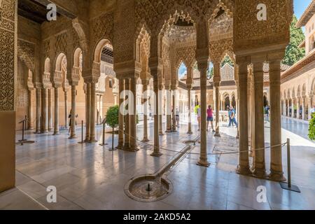 Architektur, Gebäude und Kunstdesign im arabischen Stil in der Alhambra Stockfoto