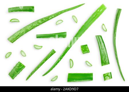 Aloe Vera mit Slices auf weißem Hintergrund. Ansicht von oben. Flach. Stockfoto