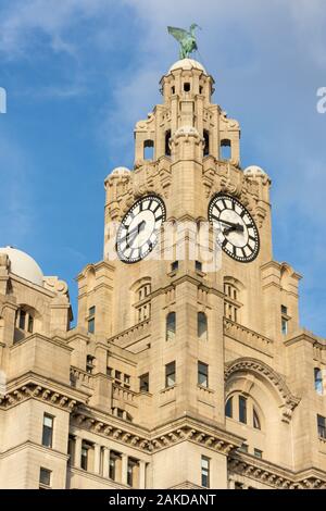 Royal Liver Building, Pier Head, Liverpool, Liverpool, Merseyside, England, Vereinigtes Königreich Stockfoto