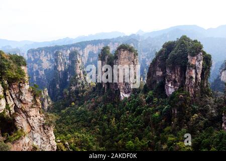Zhangjiajie National Forest Park in Hunan, China. Stockfoto