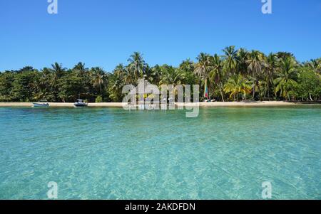 Tropischen Küste mit Kokospalmen und eine Palapa über Wasser, Bocas del Toro, Karibik, Panama, Mittelamerika Stockfoto
