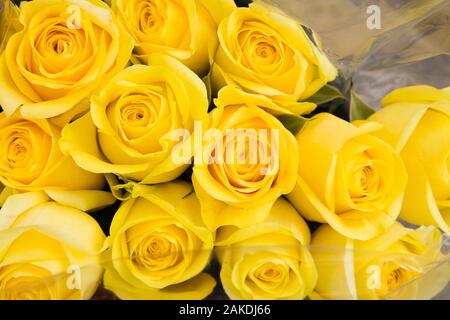 In der Nähe von frisch geschnittenen Gelb Rosa-Rosen in Zellophan zum Verkauf an einer im Markt im Frühjahr gewickelt. Stockfoto