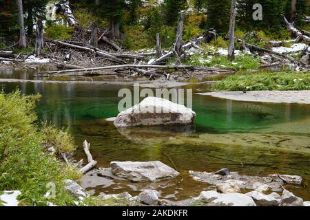 Auf dem Waldboden entstand aus der sommerlichen Schneeschmelze ein wunderschönes smaragdfarbenes Becken. Stockfoto