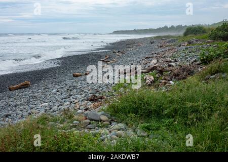 Starke Wellen brechen auf der felsigen Ufer des Dulan Beach, im südlichen Taiwan, nach einem Zyklon vorbei, große Stücke Treibholz Stockfoto