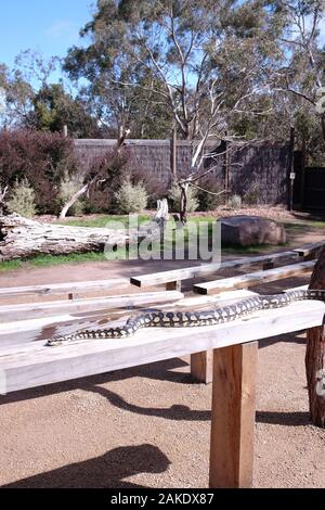 Moonlit Sanctuary Wildlife Park Stockfoto