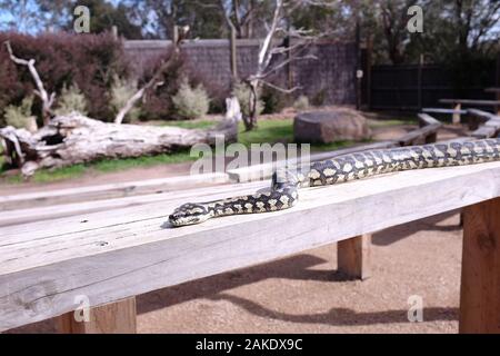 Moonlit Sanctuary Wildlife Park Stockfoto