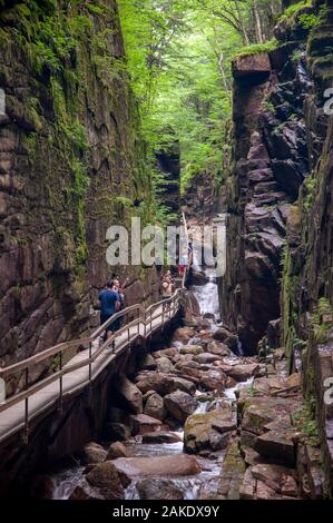 Besetzt Trail in der Flume Gorge in New Hampshire Stockfoto