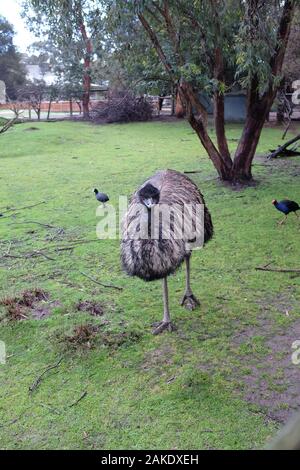 Moonlit Sanctuary Wildlife Park Stockfoto