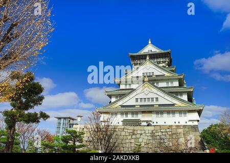 Schöne Szene im Park der Burg von Osaka, Osaka City, Japan. Stockfoto