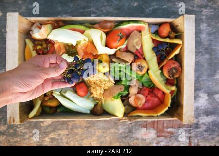 Weibliche Hand wirft Papierkorb. Müll sortieren. Hausmüll für Kompost von Obst und Gemüse. Stockfoto