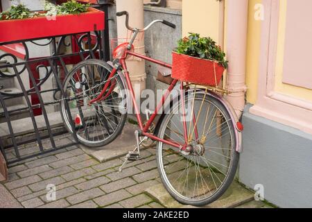 Blumen in einem hölzernen Kasten im Kofferraum eines rot färben Bike in die Betonwände des Hauses geparkt. Stockfoto