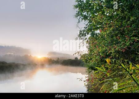 Schönen Morgen auf einem Fluss Mäander in eine natürliche Landschaft mit viel Nebel und Dampf bei Sonnenaufgang mit wilden gelben Blumen im Vordergrund. Stockfoto