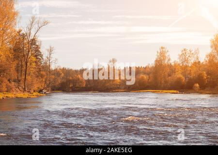 Fantastische Foggy River mit frischem grünem Gras in der Sonne. Sonnenstrahlen durch Baum. Dramatische farbenfrohe Landschaft Stockfoto