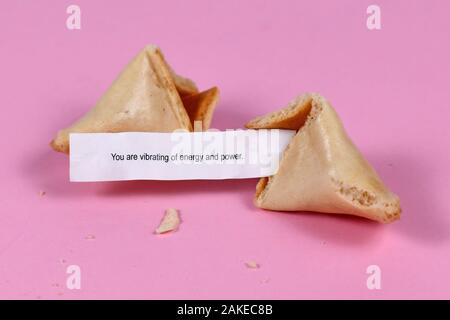 Öffnen Fortune cookie mit Motivationalen text' Sie vibrierende sind Energie und Power' auf rosa Hintergrund Stockfoto