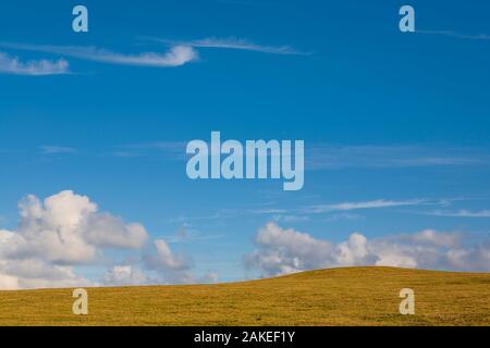 Blauer Himmel über ein grünes Feld. Stockfoto